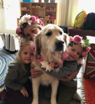 Illustration de l'article : "Le silence est si bruyant", l'animateur et humoriste Jimmy Fallon fait ses adieux à sa chienne Gary décédée à 13 ans et demi