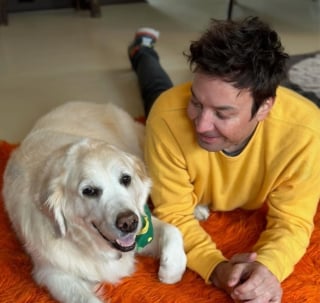 Illustration de l'article : "Le silence est si bruyant", l'animateur et humoriste Jimmy Fallon fait ses adieux à sa chienne Gary décédée à 13 ans et demi