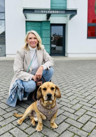 Illustration de l'article : Sous les yeux de sa propriétaire, ce chien se fait renverser successivement par 2 voitures, mais les examens ne révèlent aucun traumatisme
