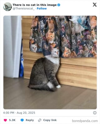 Illustration de l'article : 12 chats rois du camouflage, difficiles à repérer