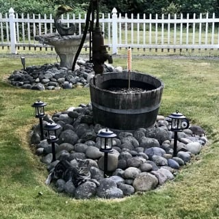 Illustration de l'article : 12 chats rois du camouflage, difficiles à repérer