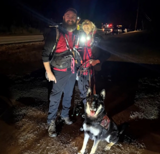 Illustration de l'article : Alors que le froid s’installait, une fillette de 2 ans perdue dans une forêt immense est secourue grâce au travail exceptionnel d’une chienne de recherche