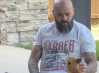 Illustration de l'article : Cette Chihuahua traverse la clôture tous les jours pour passer du temps avec un voisin qu’elle considère comme sa deuxième famille (vidéo)