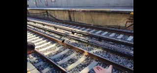 Illustration de l'article : Un chaton inconscient du danger erre sur des rails de train, des bienfaiteurs ont 5 minutes pour le sauver (vidéo) 