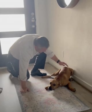 Illustration de l'article : « Absolument, ramène-le à la maison » un chien errant terrifié voit son destin bouleversé grâce à une phrase spontanée (vidéo)