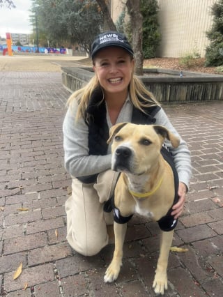 Illustration de l'article : Pensionnaire d’un refuge depuis plus de 2000 jours, Leo ne perd pas espoir de trouver un jour sa famille pour la vie (vidéo)