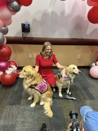Illustration de l'article : Plongée dans le coma, une femme reprend conscience grâce à un chien de thérapie