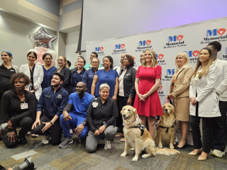 Illustration de l'article : Plongée dans le coma, une femme reprend conscience grâce à un chien de thérapie