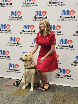 Illustration de l'article : Plongée dans le coma, une femme reprend conscience grâce à un chien de thérapie