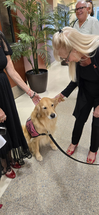 Illustration de l'article : Plongée dans le coma, une femme reprend conscience grâce à un chien de thérapie