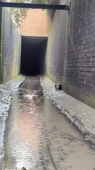 Illustration de l'article : Les pleurs d'un chaton résonnant dans un tunnel interpellent un passant qui appelle les secours