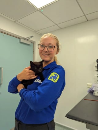 Illustration de l'article : Les pleurs d'un chaton résonnant dans un tunnel interpellent un passant qui appelle les secours