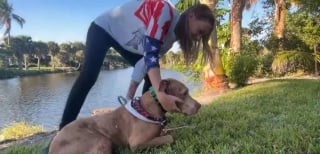 Illustration de l'article : Le chien aveugle d'une famille disparaît en pleine nuit dans un secteur infesté de crocodiles, la police intervient en urgence