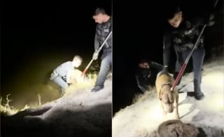 Illustration de l'article : Le chien aveugle d'une famille disparaît en pleine nuit dans un secteur infesté de crocodiles, la police intervient en urgence