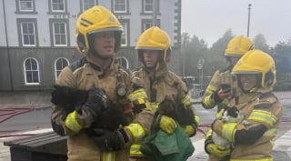 Illustration de l'article : Un chat brûlé survit pendant 4 semaines dans un immeuble incendié avant d’être repéré sur le toit