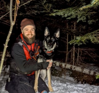 Illustration de l'article : Guidée par son flair, une chienne traverse une forêt sombre pendant 5 heures et retrouve une fillette de deux ans perdue depuis des heures