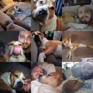 Illustration de l'article : 12 photos qui montrent le lien unique pouvant exister entre un homme et son chien