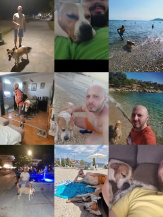 Illustration de l'article : 12 photos qui montrent le lien unique pouvant exister entre un homme et son chien