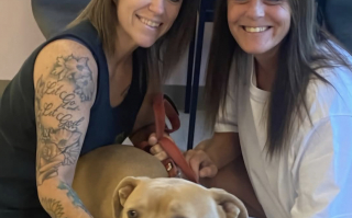 Illustration de l'article : Après 549 jours passés au refuge et malgré les appréhensions, ce chien a définitivement trouvé la famille parfaite