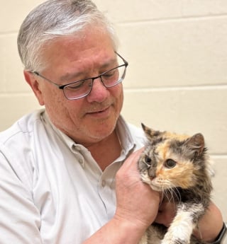 Illustration de l'article : Une chatte disparue durant 15 ans mais équipée d’une puce électronique retrouve ses humains qui n’avaient jamais perdu espoir