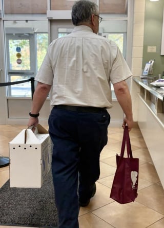 Illustration de l'article : Une chatte disparue durant 15 ans mais équipée d’une puce électronique retrouve ses humains qui n’avaient jamais perdu espoir