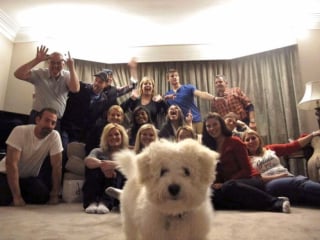 Illustration de l'article : 20 photos dr&ocirc;les d&rsquo;animaux qui n&rsquo;ont pas h&eacute;sit&eacute; &agrave; mettre leur petit grain de sel lors des f&ecirc;tes de fin d&rsquo;ann&eacute;e