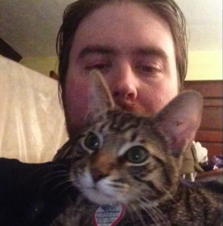 Illustration de l'article : Son chat disparaît dans sa chambre d’hôtel, il reçoit un coup de fil déroutant quelques mois plus tard 