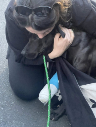 Illustration de l'article : « Il la terrifiait », une sauveteuse négocie avec un homme pour prendre en charge sa chienne maltraitée et lui offrir de l'amour