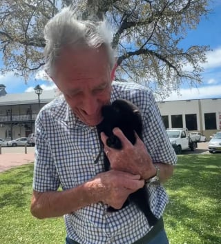 Illustration de l'article : Fébrile avant la rencontre, ce grand-père réalise le rêve de sa vie en adoptant un adorable Loulou de Poméranie (vidéo)