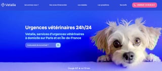 Illustration de l'article : Vetalia, le service d'urgences vétérinaires à domicile en Île-de-France disponible 24 heures sur 24 et 7 jours sur 7