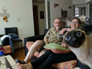 Illustration de l'article : 20 photos hilarantes où les animaux de compagnie n’ont pas hésité à voler la vedette