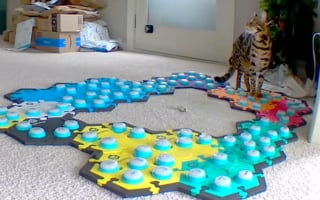 Illustration de l'article : Ce chat adore le dessin animé Pocahontas et n’hésite pas à le réclamer à sa maîtresse (vidéo)