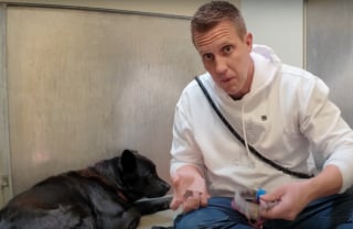 Illustration de l'article : Abandonnée à 2 reprises, cette chienne perd confiance en l’humain jusqu’à ce que l’un d’entre eux franchisse la porte de son box (vidéo)