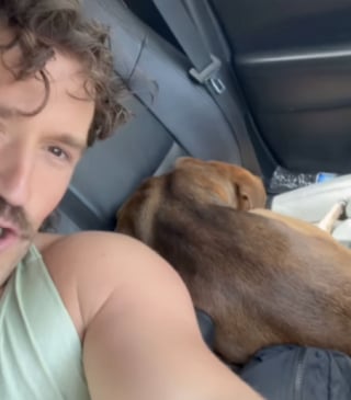 Illustration de l'article : Ce propriétaire partage en temps réel son « échec » en tant que famille d’accueil d’un chien de refuge (vidéo)