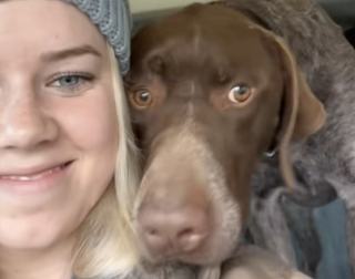 Illustration de l'article : « Faire cohabiter la peine et la joie », cette propriétaire rencontre le frère de son défunt chien durant son deuil et apprend à voir la vie autrement (vidéo)