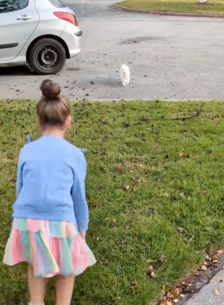 Illustration de l'article : Incapable de laisser sa petite humaine seule, cette chatte dévouée la suit même jusqu’à son école (vidéo)
