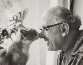 Illustration de l'article : 15 photos de chats qui sont très anciennes mais qui valent de l’or