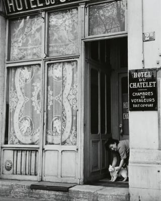 Illustration de l'article : 15 photos de chats qui sont très anciennes mais qui valent de l’or