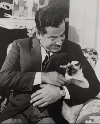 Illustration de l'article : 15 photos de chats qui sont très anciennes mais qui valent de l’or