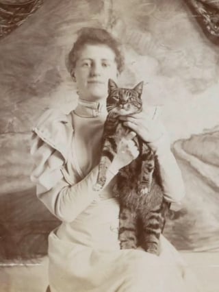 Illustration de l'article : 15 photos de chats qui sont très anciennes mais qui valent de l’or
