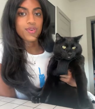Illustration de l'article : Ce chat ne peut plus se passer du tapis de course, au point d'en chasser sa maîtresse quand elle veut s'en servir (vidéo)