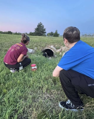 Illustration de l'article : Retrouvés cachés dans un conduit en béton, ces 6 chiots vont désormais profiter d’une vie heureuse dans leur famille