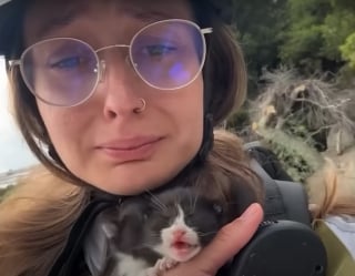 Illustration de l'article : En pleine aventure en skate électrique, elle sauve 3 chatons abandonnés dans un sac plastique au bord de la route