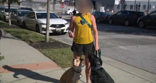 Illustration de l'article : L'intervention courageuse d'un chien et de sa maîtresse en promenade matinale met fin à une tentative de vol de voiture