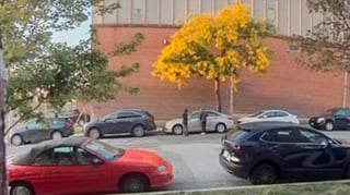 Illustration de l'article : L'intervention courageuse d'un chien et de sa maîtresse en promenade matinale met fin à une tentative de vol de voiture