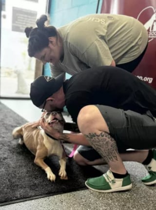 Illustration de l'article : Une chienne amenée au refuge saute de joie en retrouvant sa famille qu’elle n’avait pas vue depuis des mois