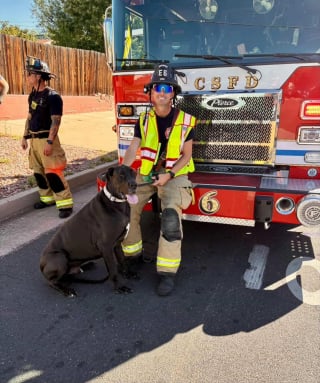 Illustration de l'article : Transportés à l’hôpital après un accident de la route, des maîtres retrouvent leur chien cajolé par les pompiers de la caserne voisine