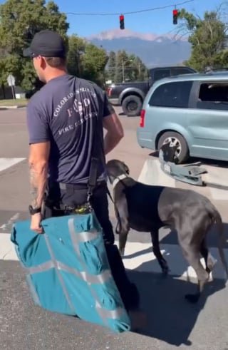 Illustration de l'article : Transportés à l’hôpital après un accident de la route, des maîtres retrouvent leur chien cajolé par les pompiers de la caserne voisine