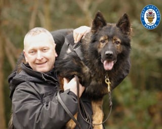 Illustration de l'article : Un policier rend hommage aux chiens qui l’ont soutenu pendant ses 28 ans de carrière