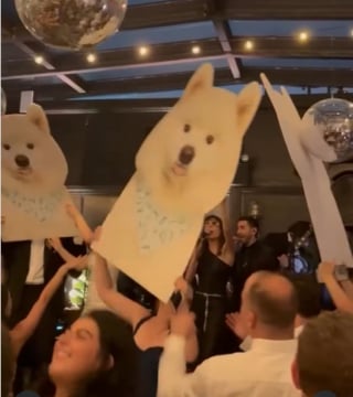 Illustration de l'article : Serviettes à son effigie, nœud papillon et boisson signature à son nom,  quand un chien devient la star du mariage de ses maîtres (vidéo)